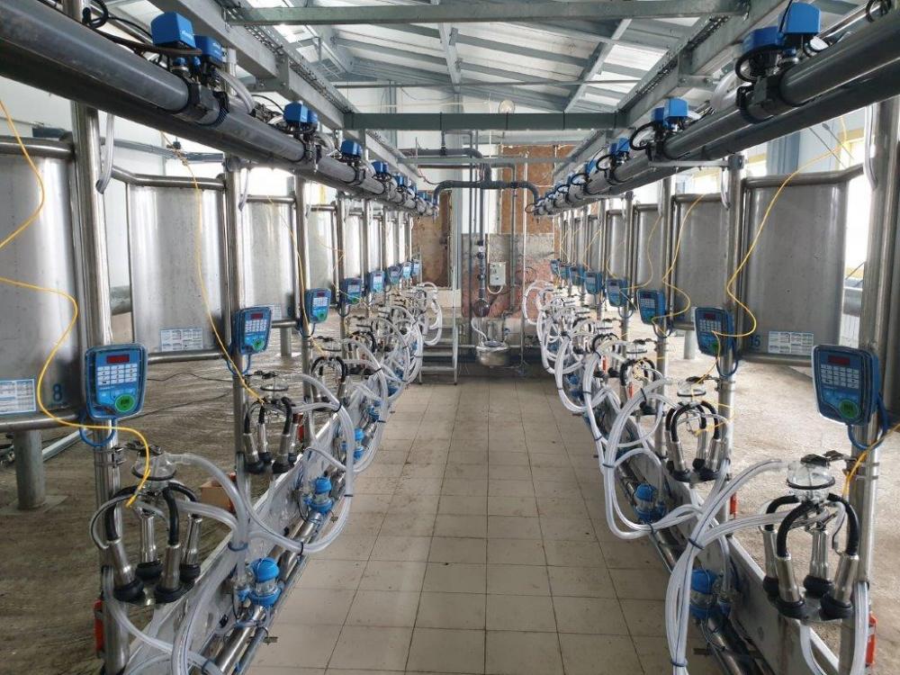 Karusel tipli 40 baş sağım makinesi (büyükbaş hayvan)