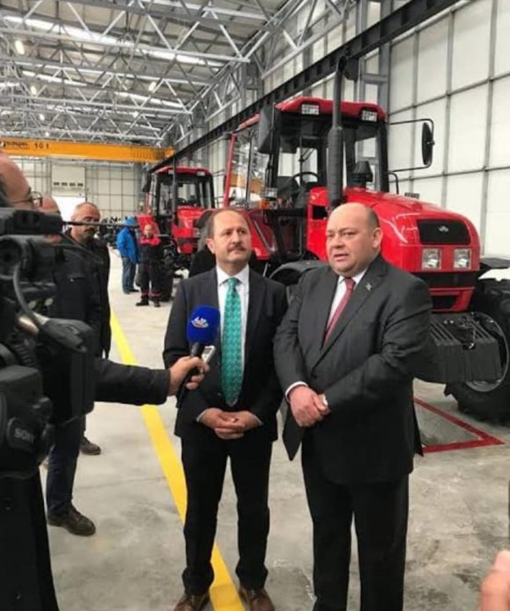 Simmental Pedigree. Gebe. Safkan (Austria)